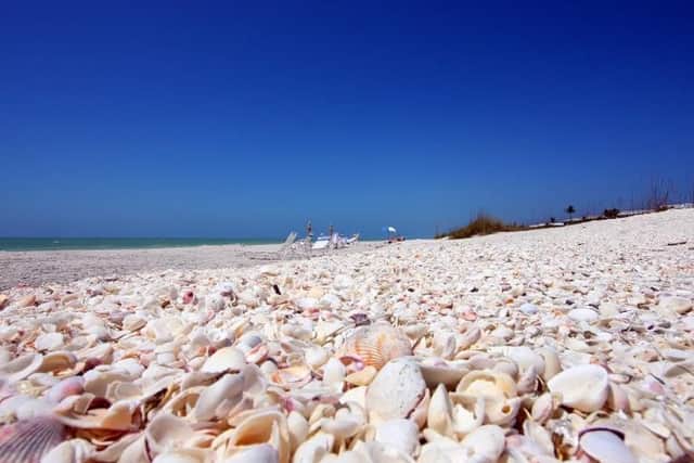 The beaches on Sanibel and Cayo Costa are super for shelling