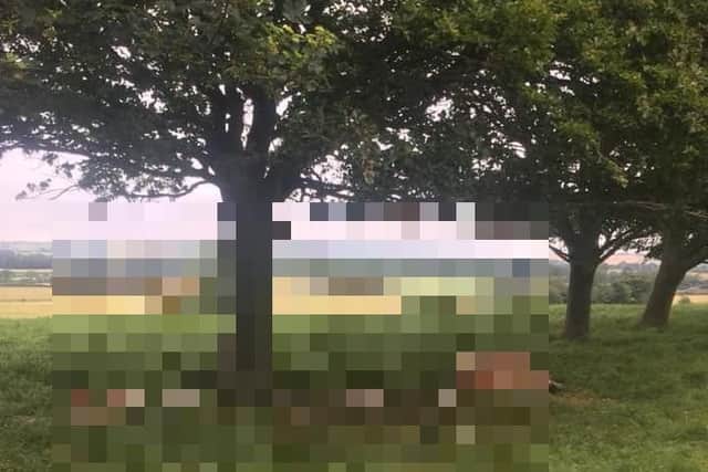 Pictures off the butchered animals have been widely shared on social media