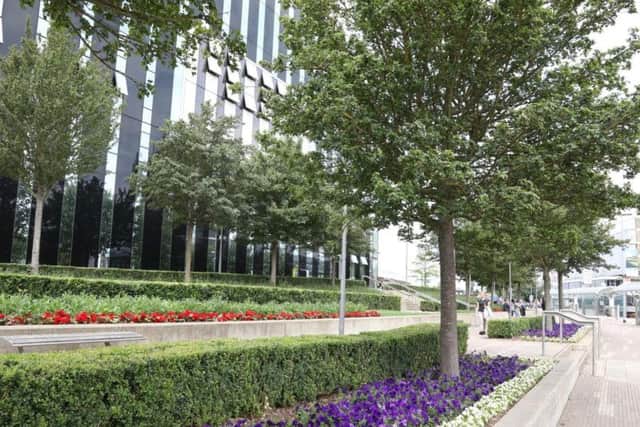 The area outside the Cube