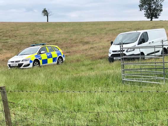 Police at the scene of one of the sheep attacks in Northamptonshire. Photo: Northamptonshire Police