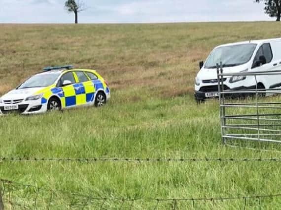 Police at the scene of one of the sheep butchery incidents in Northamptonshire.