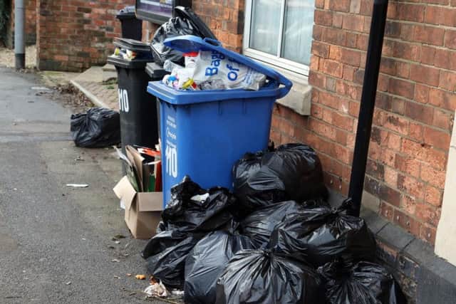 Bins file pic