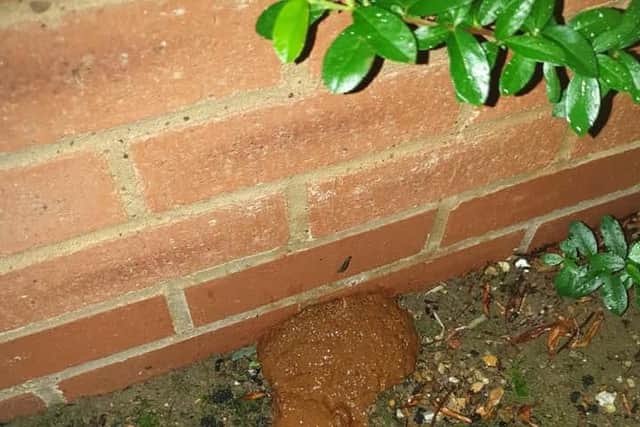 The poo that Mr Merchant said he found where the Uber delivery man crouched in the CCTV footage