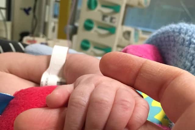 Nikki holding Ned's hand