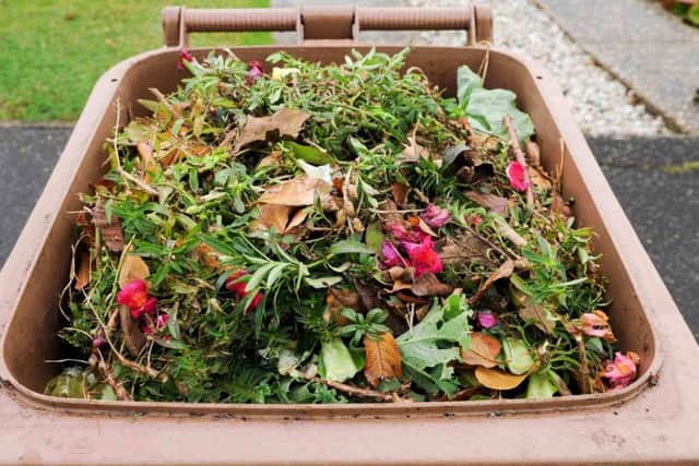 Garden waste stock image