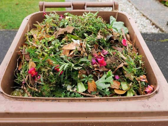 Garden waste stock image