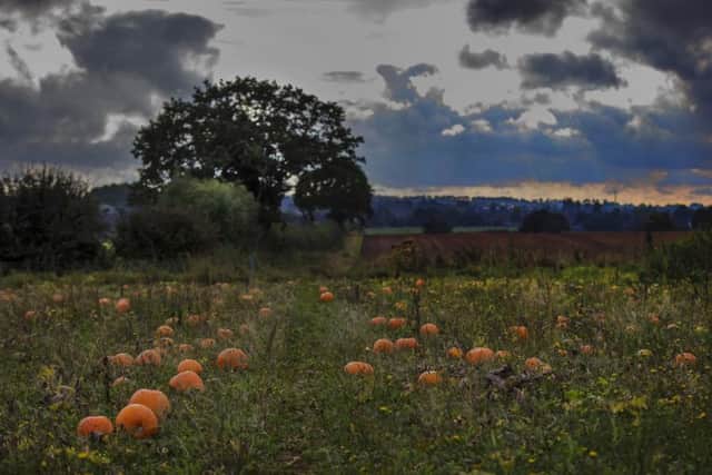 Pictures taken by Kirsty Edmonds.