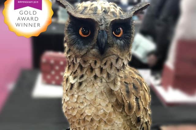 The award-winning owl