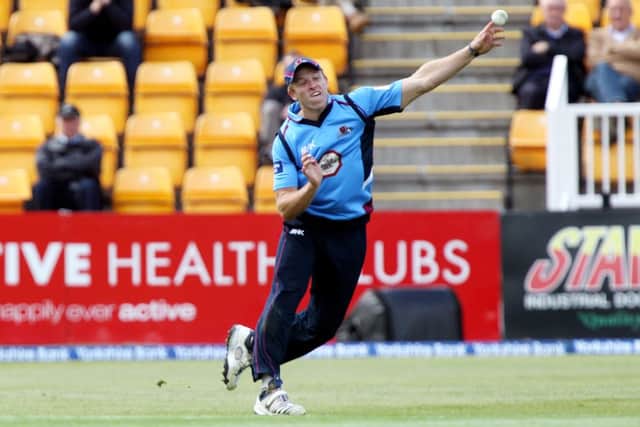 David Willey