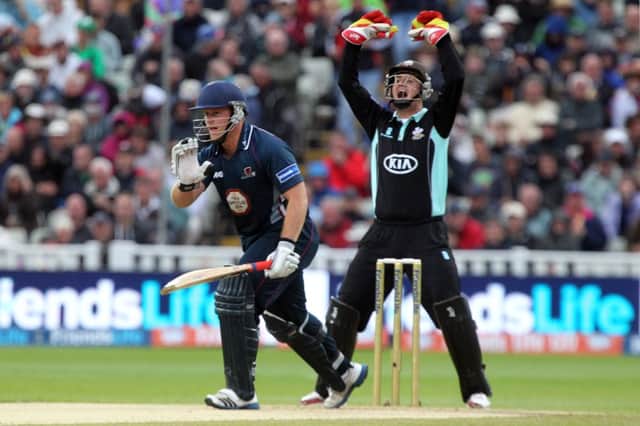 Richard Levi made a big contribution as the Steelbacks' second overseas player in the Friends Life t20 success