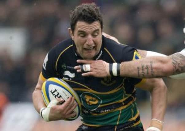 UP FOR THE CUP - Phil Dowson wants Saints to 'throw everything' at the Amlin Challenge Cup (Picture: Linda Dawson)