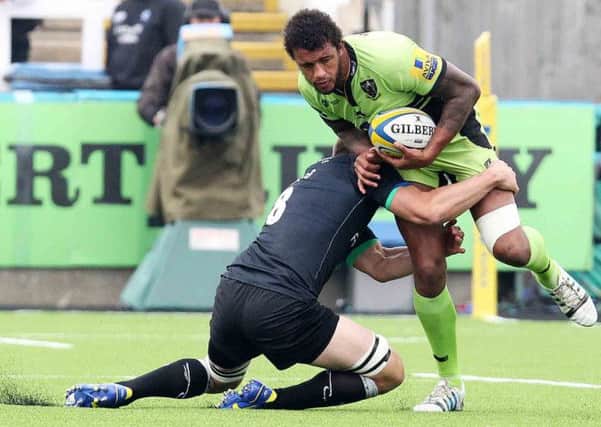 READY TO GO - Courtney Lawes will be fit to face Bath (Picture: Sharon Lucey)