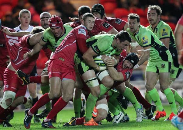Scarlets get to grips with Phil Dowson during Friday night's LV= Cup clash at Parc y Scarlets (pictures: Sharon Lucey)