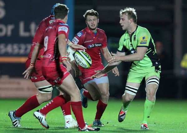 Ben Nutley's energy and enthusiasm caught the eye at Scarlets (picture: Sharon Lucey)