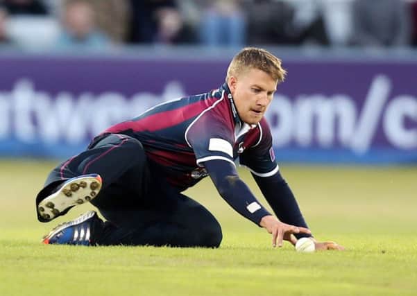 Josh Cobb made a classy 84 for the Steelbacks (picture: Kirsty Edmonds)