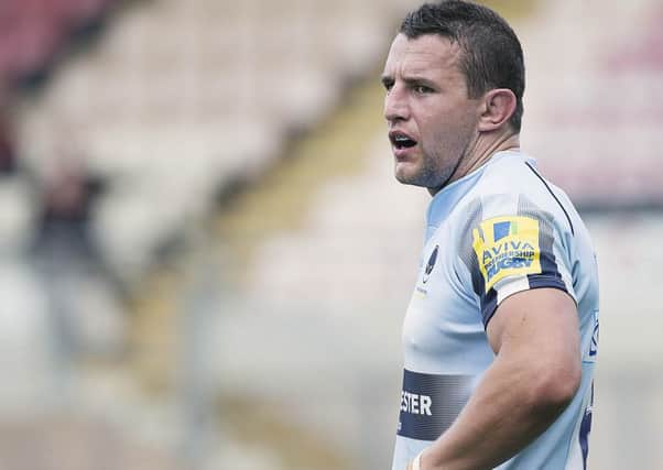 Phil Dowson returned to Franklin's Gardens with Worcester on Friday (picture: Kirsty Edmonds)