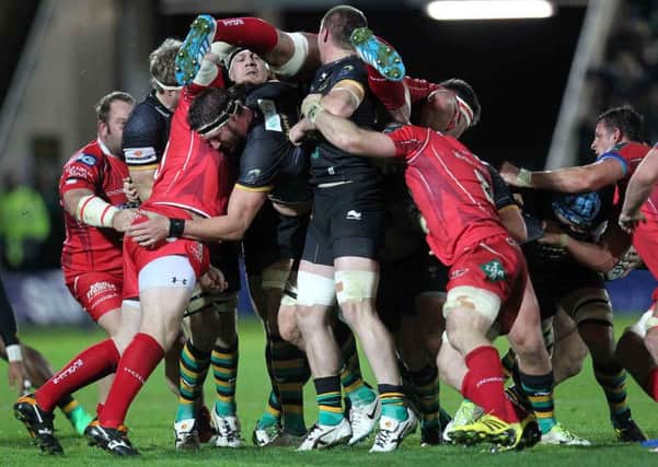 Saints scapped to victory against Scarlets (picture: Sharon Lucey)