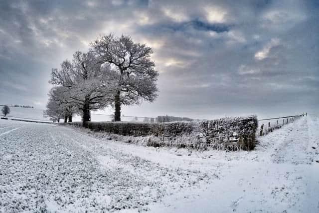 Rothwell. By Lee Dockerill.