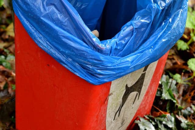 A report surrounding the possibility of introducing DNA testing on dogs to catch owners who dont pick up dog mess is to be discussed at a Kettering Council meeting next week.