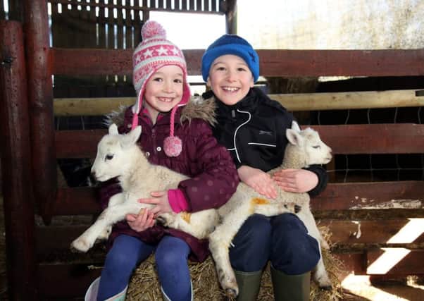 Lily Baish, six, and brother Jack Baish, eight, with week-old twin lambs at West Lodge