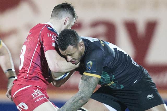 Courtney Lawes has been sent back to Saints and is set to face Worcester Warriors on Saturday (picture: Kirsty Edmonds)