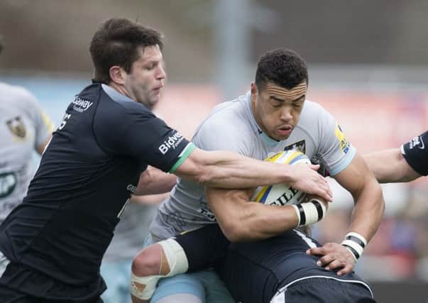 Luther Burrell has been in good form for Saints of late (picture: Kirsty Edmonds)
