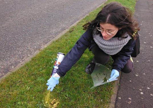 Officers have been out on the Oakley Vale estate in Corby as part of a crackdown on dog fouling