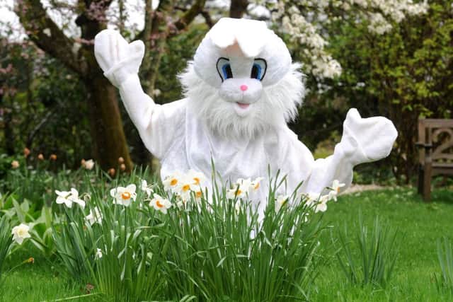 The Easter Bunny will be helping children to discover hidden treasures next week