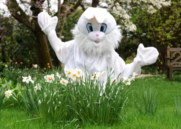 The Easter Bunny will be helping children to discover hidden treasures next week