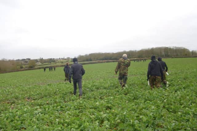 Saboteurs follow the hunt