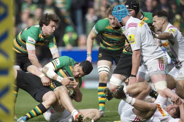 George Pisi got stuck in for Saints against Harlequins (pictures: Kirsty Edmonds)
