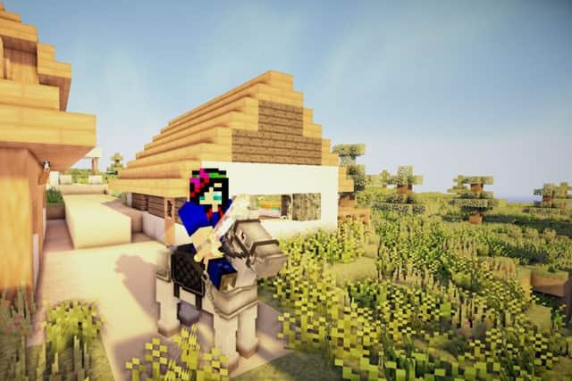 Minecraft warning. Photo: SWNS