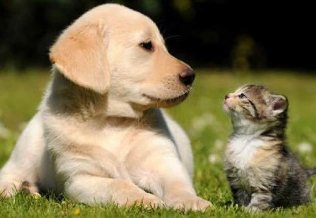They've cute, but stay safe. Pic from ActionFraud