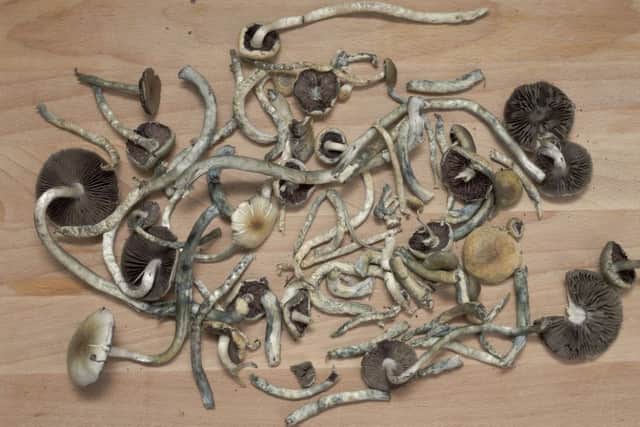 A hallucinogenic compound derived from magic mushrooms could be used in the treatment of depression, according to new research.