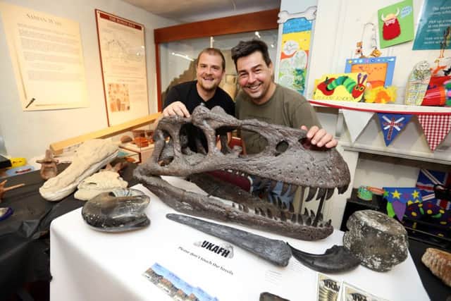 UKAFH Fossil display at Manor House Museum