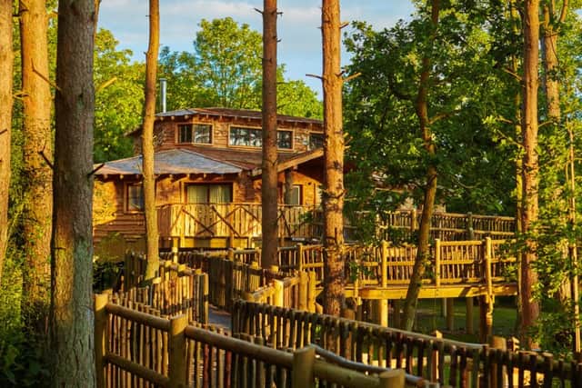 Center Parcs has announced that it is launching a nationwide search for The UKs Top Treehouse, led by wildlife presenter and adventurer Steve Backshall.
