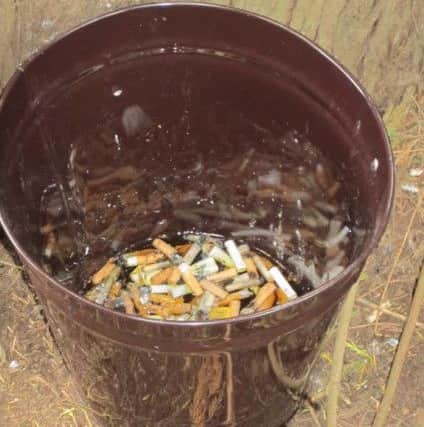 Some of the cigarette ends