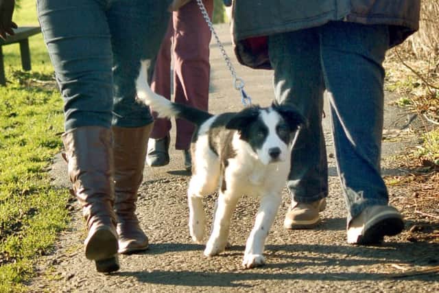 Dogs could be banned from enclosed childrens playgrounds in Kettering under a new Public Space Protection Order (PSPO).