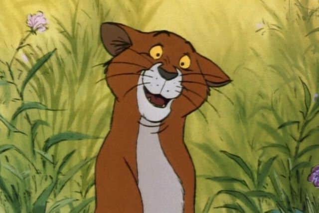 Do you know your famous cats?