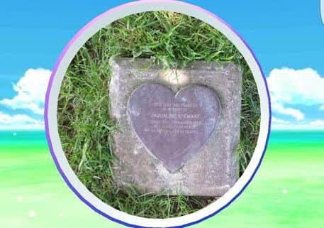The tree in East Carlton Park has become a Pokestop NNL-160722-113824001