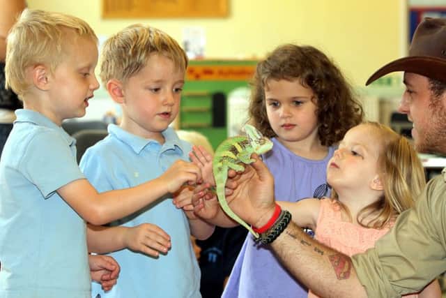 Children from Weldon Village Hall pre-school enjoy a visit from Bugtopia. Pictured looking at a Chameleon are Racey Herbert, Aimee Cartell, Tom Bulfin and Ty Herbert. ENGNNL00120130717142851