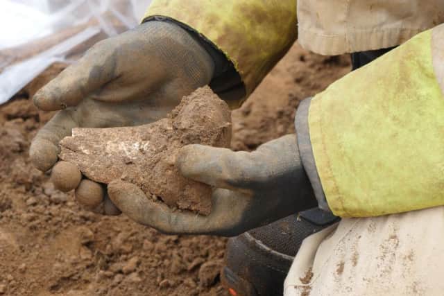 Two ancient skeletons have been found by surveyors at a new housing development.