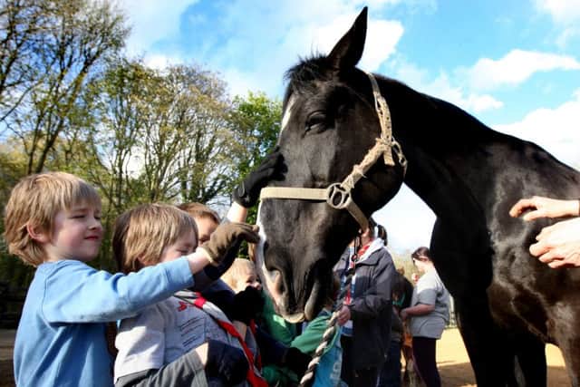 Kettering Brambleside Beaver Group who are taking part in a community help project at EquATA Ltd, Grafton Park Lodge, Grafton Underwood. The charity provide horse assisted therapy services for emotional, behavioural and mental health issues. ENGNNL00120130430104929