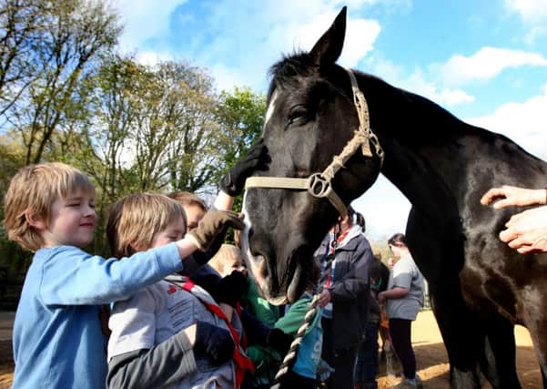 Kettering Brambleside Beaver Group who are taking part in a community help project at EquATA Ltd, Grafton Park Lodge, Grafton Underwood. The charity  provide horse assisted therapy services for emotional, behavioural and mental health issues. ENGNNL00120130430104929