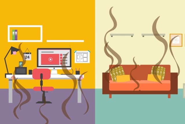 House plants can suck dangerous toxic chemicals out of the air - leaving it cleaner to breathe, according to new research