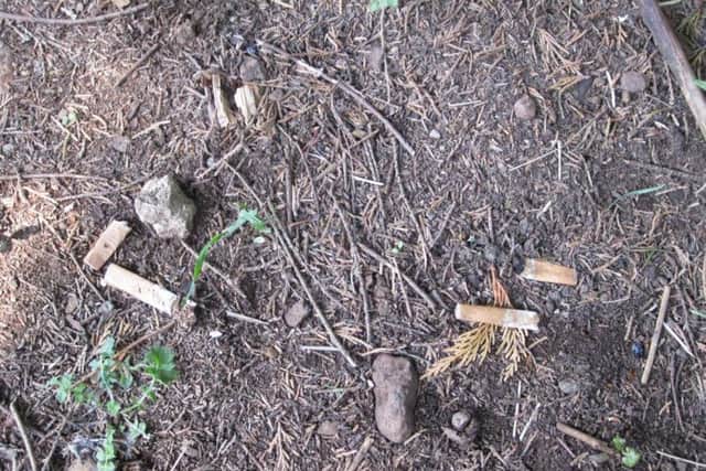 Residents are unhappy about litter left around the hospital site following the ban on smoking anywhere in the grounds of KGH NNL-161107-101821001