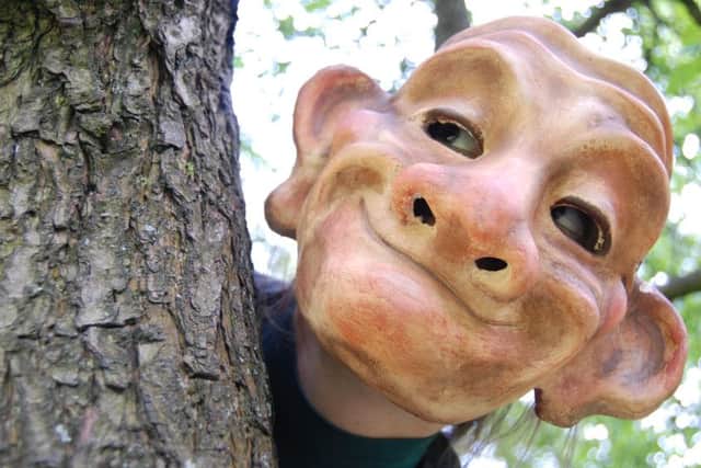 The Woods project