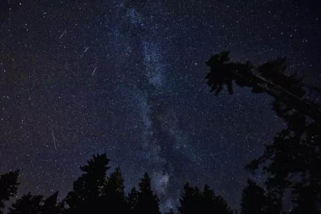 Don't miss the night-time spectacle!