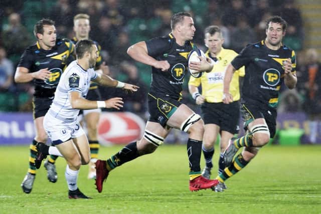 Louis Picamoles was superb for Saints once again (pictures: Kirsty Edmonds)