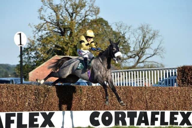Grey gelding Pinkie Brown is ridden to victory at Towcesters October meeting by jockey James Best. Picture courtesy of www.gjmultimedia.co.uk